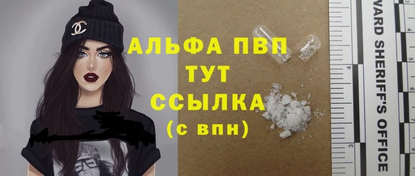 ECSTASY Дмитров