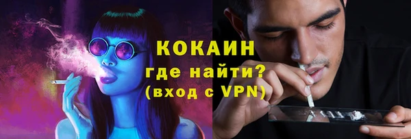 PSILOCYBIN Дмитровск