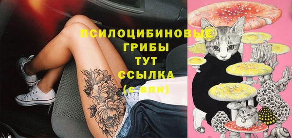 PSILOCYBIN Дмитровск