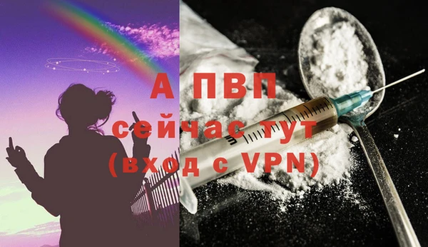 ECSTASY Дмитров
