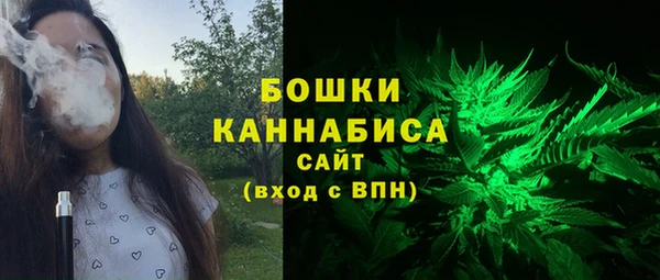 PSILOCYBIN Дмитровск