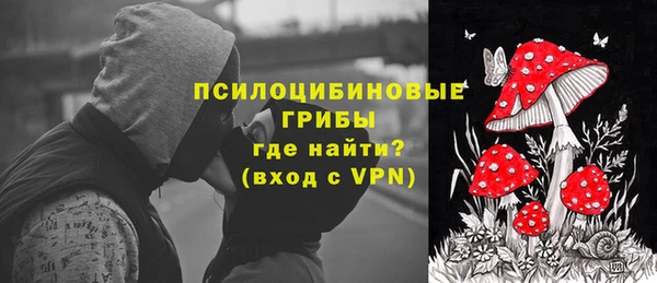 PSILOCYBIN Дмитровск